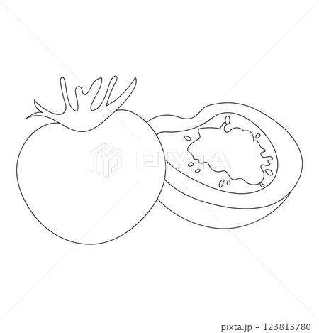 tomato fruit icon tomato fruit icon 123813780