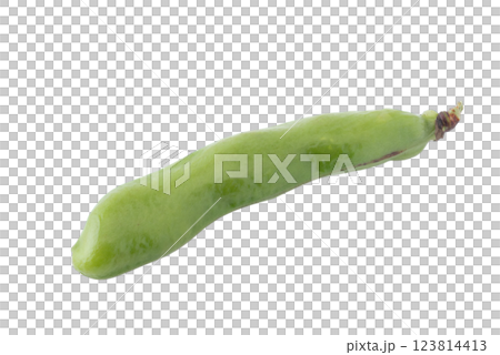 透明背景上帶有豆莢的蠶豆（png） 123814413