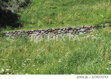 箕輪城  大堀切の土橋の石垣【群馬県高崎市】 123814743