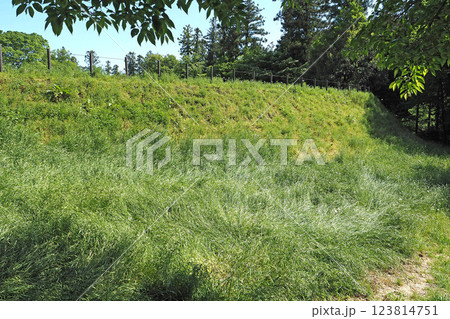 箕輪城 本丸と御前曲輪間の空堀【群馬県高崎市】 箕輪城 本丸と御前曲輪間の空堀【群馬県高崎市】 123814751