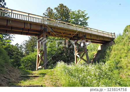 箕輪城  空堀から望む本丸の復元木橋【群馬県高崎市】 123814758