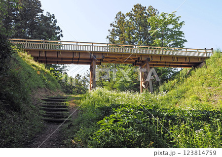 箕輪城  空堀から望む本丸の復元木橋【群馬県高崎市】 123814759