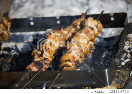 Juicy shish kebab grilling on skewers over hot coals, ready for a delicious summer barbecue. Juicy shish kebab grilling on skewers over hot coals, ready for a delicious summer barbecue. 123814790
