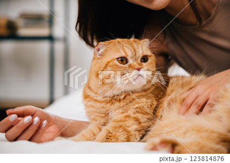 In their room, a woman lovingly strokes her Scottish Fold cat on the bed, creating a heartwarming scene of togetherness and connection between owner and pet. Pat love 123814876