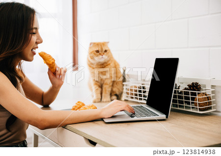 A young woman sitting at her desk finds joy in the company of her Scottish Fold cat while working on her laptop, symbolizing the harmonious blend of work, pets, and togetherness. 123814938