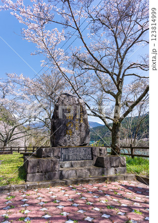 春の陽ざしに映える石碑風景 (桜の花が咲く季節 市房ダム湖) (熊本県球磨郡水上村湯山) 春の陽ざしに映える石碑風景 (桜の花が咲く季節 市房ダム湖) (熊本県球磨郡水上村湯山) 123814999