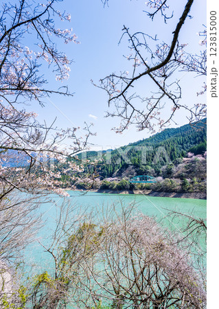 春の陽ざしに映える市房ダム風景(桜の花が咲く季節)　(熊本県球磨郡水上村湯山) 123815000
