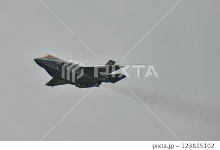 The US Air Force F-35 Demo Team performing at Royal Thai Air Force 123815102
