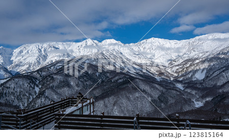 スキー場　ゲレンデ風景　長野県白馬村 123815164