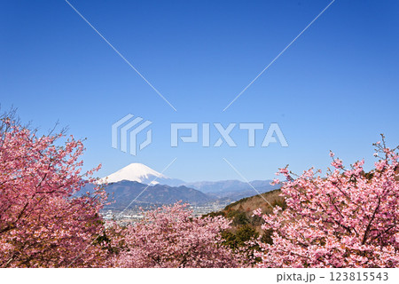 おおいゆめの里 123815543