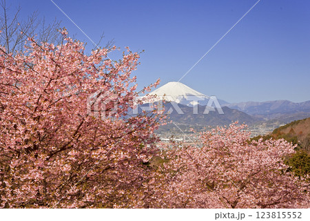 おおいゆめの里 123815552