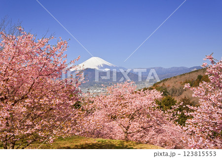 おおいゆめの里 おおいゆめの里 123815553