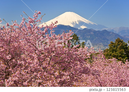 おおいゆめの里 123815563