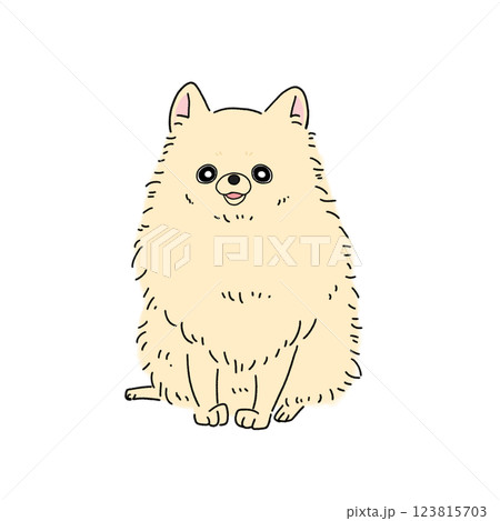 ポメラニアン(クリーム) 123815703