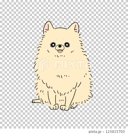 ポメラニアン(クリーム) 123815703