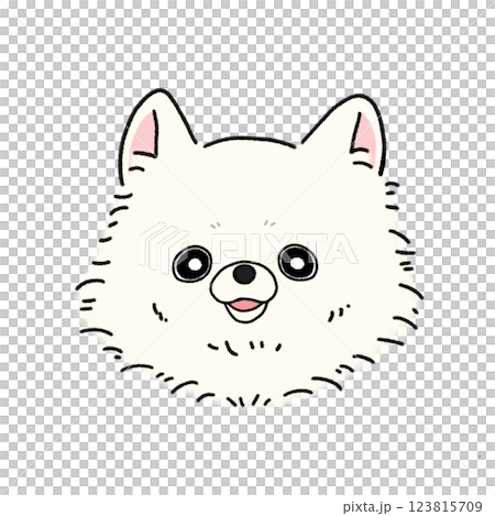 博美犬的臉（白色） 123815709