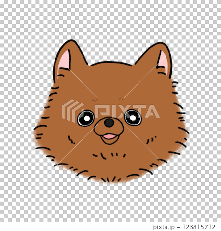 Pomeranian Face (Brown) 123815712