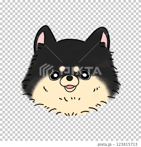 Pomeranian face (black and tan) 123815713