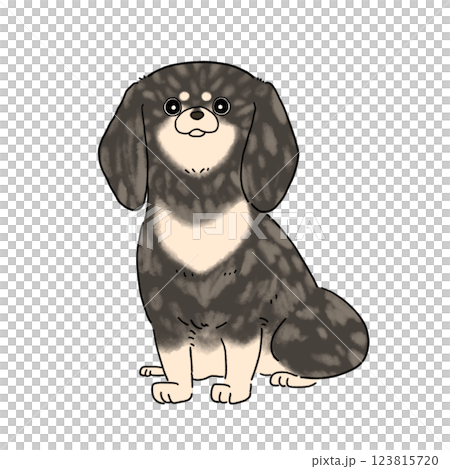 迷你臘腸犬 平毛（斑點） 123815720