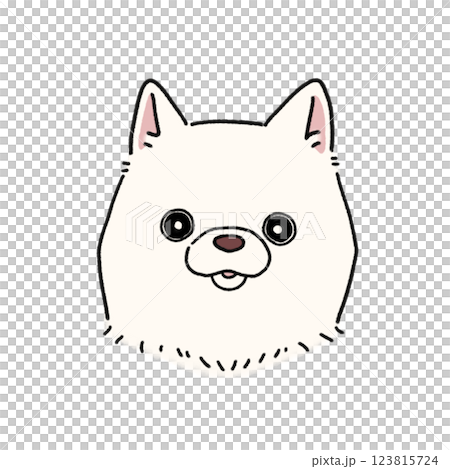 柴犬的臉（白色） 123815724