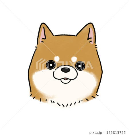 柴犬の顔(赤) 123815725