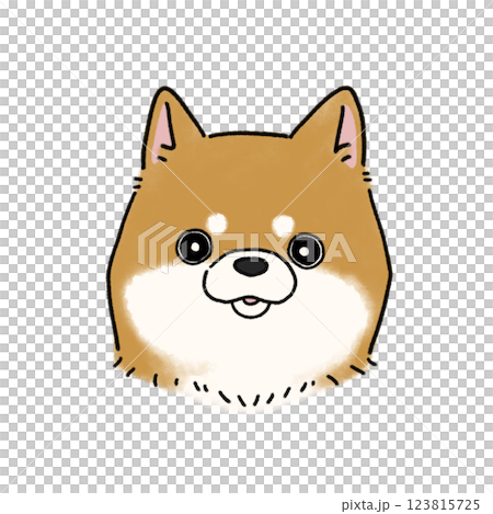 柴犬的臉（紅色） 123815725