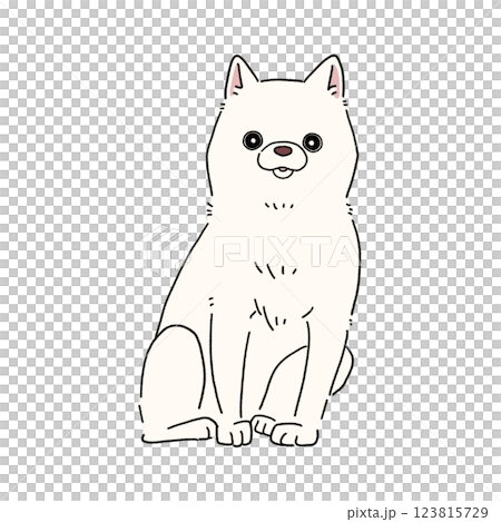 柴犬（白色） 123815729