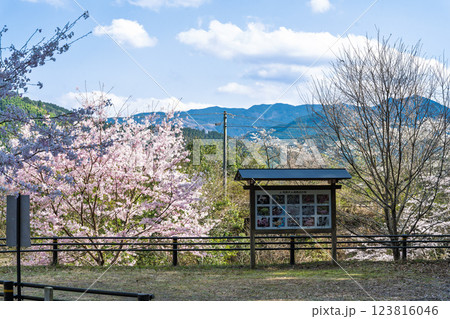看板・案内板 桜の花が咲く季節に映える 奥球磨県立自然公園・市房ダム風景 (熊本県球磨郡水上村湯山) 看板・案内板 桜の花が咲く季節に映える 奥球磨県立自然公園・市房ダム風景 (熊本県球磨郡水上村湯山) 123816046