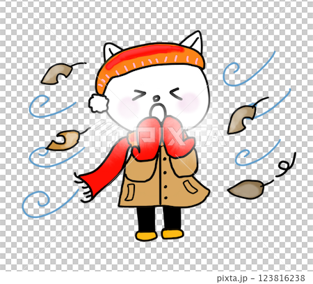 冬天刮風的日子裡，一隻白貓看起來很冷 123816238