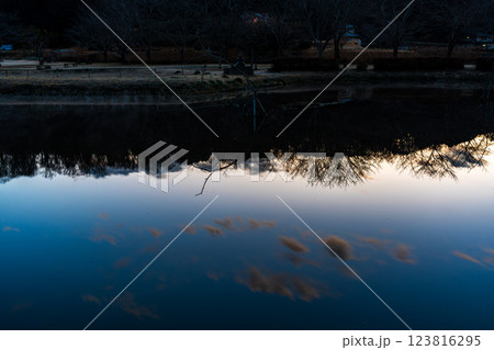 厳島湿地公園の夜明け 123816295