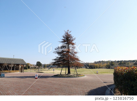 明石北わんぱく広場（兵庫県 明石市） 123816750