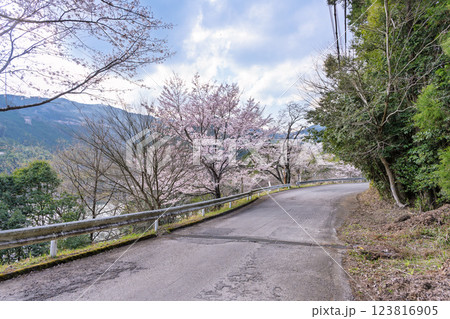 八幡神社周辺風景「 奥球磨県立自然公園・市房ダム桜風景」(熊本県球磨郡水上村湯山) 123816905