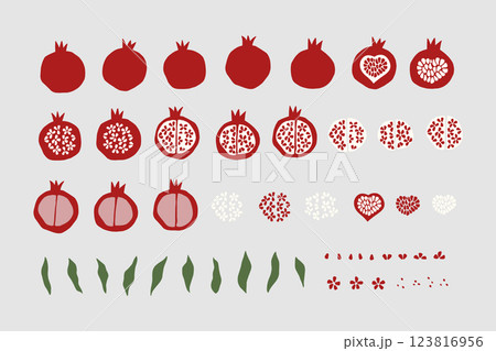 Pomegranate fruit vector illustration set Pomegranate fruit vector illustration set 123816956