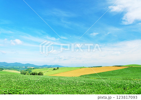 北海道　夏の青空と美瑛の風景 123817093