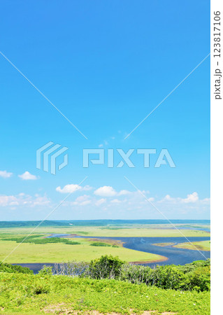 北海道　夏の青空と霧多布湿原 123817106