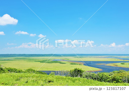 北海道　夏の青空と霧多布湿原 123817107