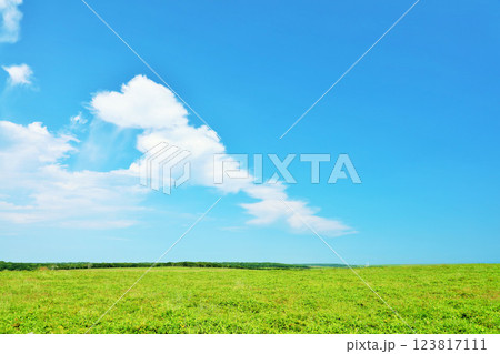 北海道　夏の青空と新緑の高原風景 123817111