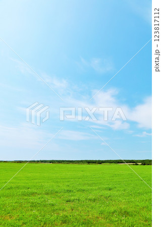 北海道 夏の青空と道東の草原風景 北海道 夏の青空と道東の草原風景 123817112