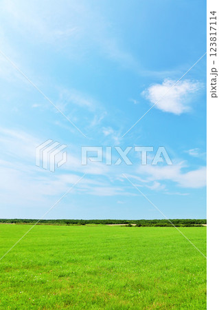 北海道 夏の青空と道東の草原風景 北海道 夏の青空と道東の草原風景 123817114