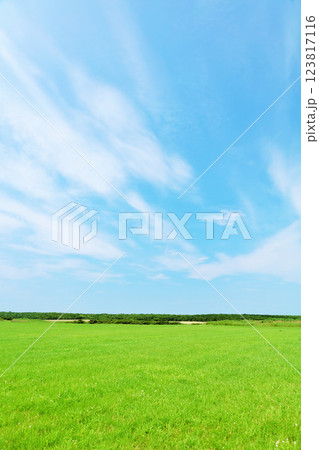 北海道　夏の青空と道東の草原風景 123817116