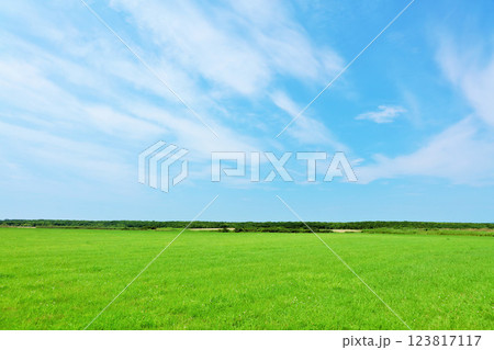 北海道 夏の青空と道東の草原風景 北海道 夏の青空と道東の草原風景 123817117