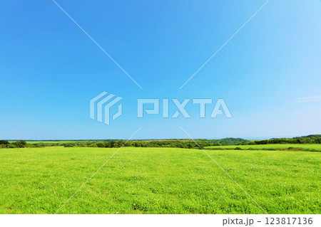 北海道 夏の青空と新緑の高原風景 北海道 夏の青空と新緑の高原風景 123817136