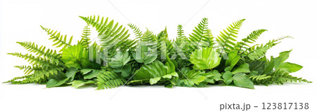 lush arrangement of mixed ornamental plants and ferns on white background. ai generative 123817138