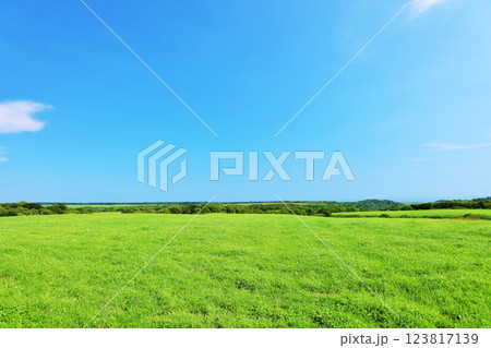 北海道 夏の青空と新緑の高原風景 北海道 夏の青空と新緑の高原風景 123817139