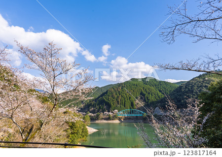 春空を背景に桜の木とダム湖風景「 奥球磨県立自然公園・市房ダム桜風景」(熊本県球磨郡水上村湯山) 123817164