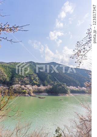 春の陽ざしを浴びているダム湖風景「 奥球磨県立自然公園・市房ダム桜風景」(熊本県球磨郡水上村湯山) 123817347