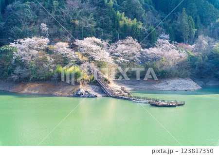 春の陽ざしを浴びているダム湖風景「 奥球磨県立自然公園・市房ダム桜風景」(熊本県球磨郡水上村湯山) 春の陽ざしを浴びているダム湖風景「 奥球磨県立自然公園・市房ダム桜風景」(熊本県球磨郡水上村湯山) 123817350