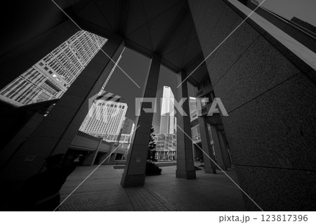 西新宿の高層ビル群 西新宿の高層ビル群 123817396