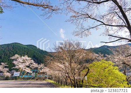 桜の花が咲く季節に映える　 奥球磨県立自然公園・市房ダム風景　(熊本県球磨郡水上村湯山) 123817721