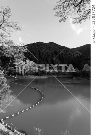 モノクロ　桜の花が咲く季節に映える　 奥球磨県立自然公園・市房ダム風景　(熊本県球磨郡水上村湯山) 123817724